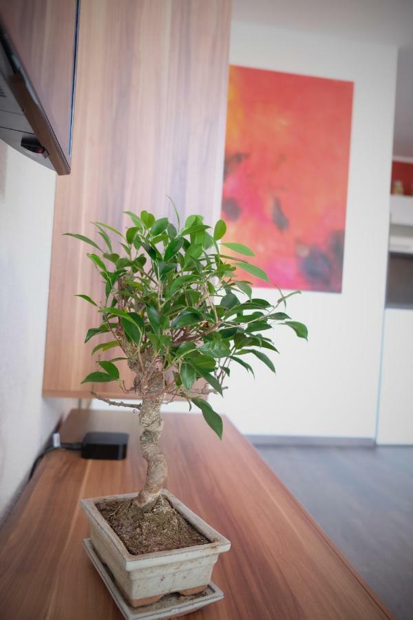 Apartment Von Betzenstein มาร์คเคลแบร์ก ภายนอก รูปภาพ